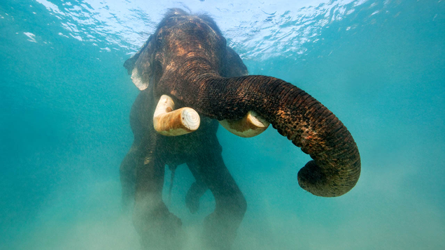 Illustration for article titled Spellbinding: We Asked Nature Photographers To Describe Their Most Memorable Shot